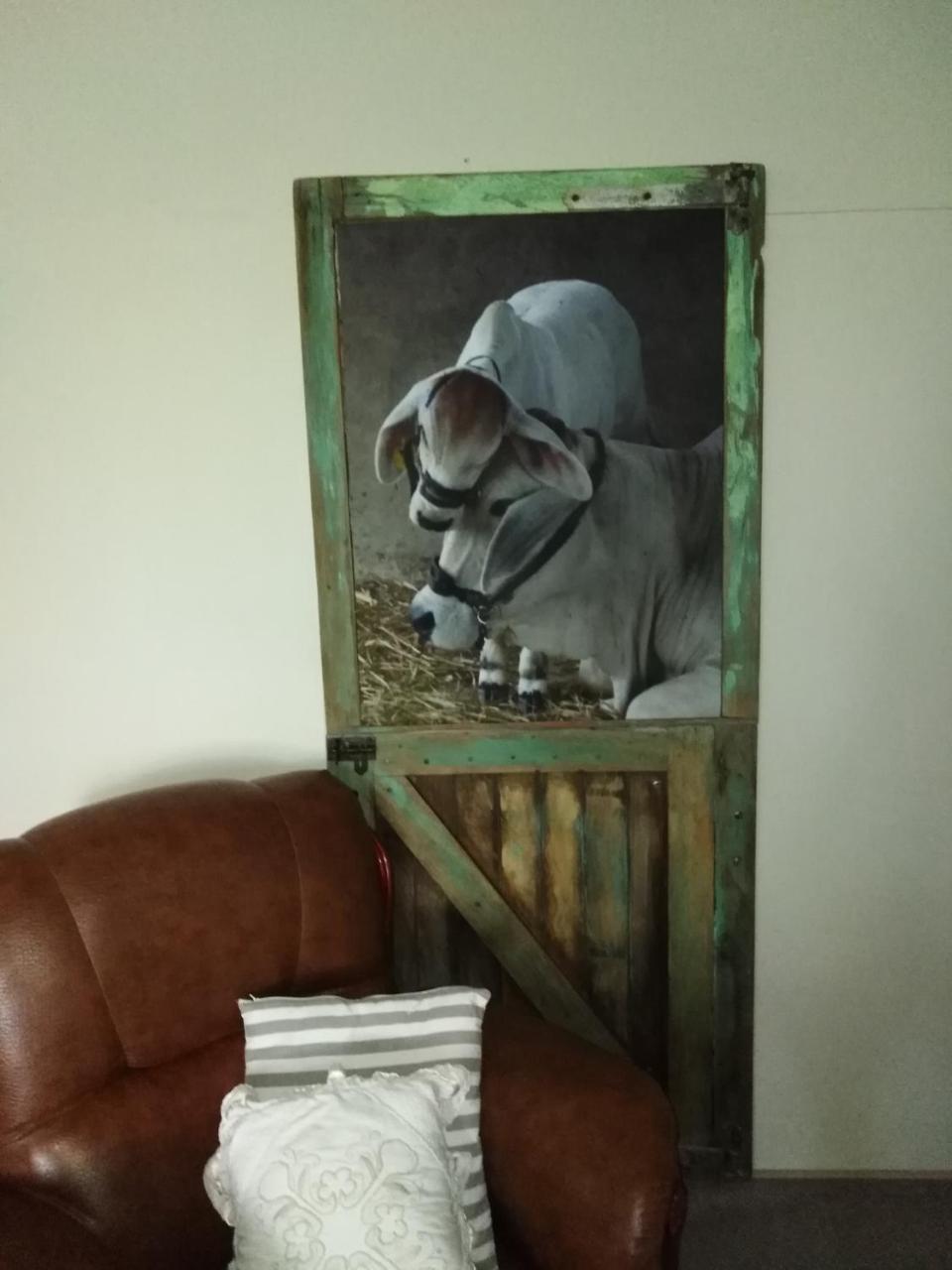 Die Windpomp Guesthouse Gobabis Екстериор снимка